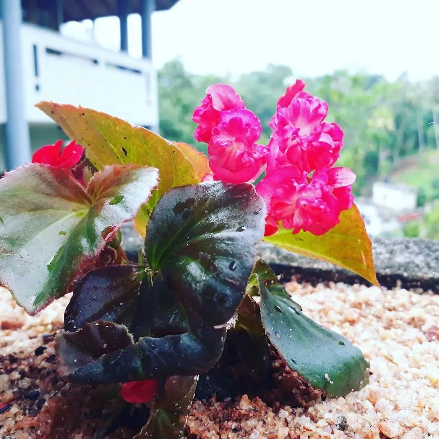 **** Hotel Villa Familia Kandy Sri Lanka